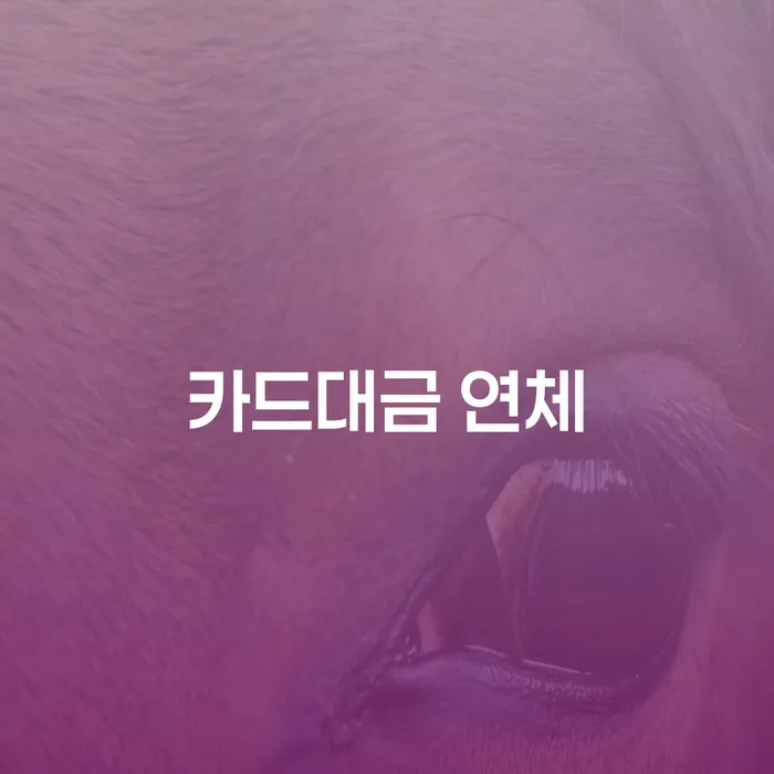 개인회생 채무조정제도을 이용하여 단점을