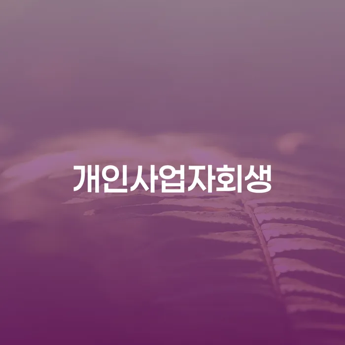 개인회생탕감 채무조정제도을 이용하여 급증하는