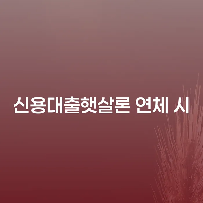 채무 연체 채무 신속해결방법 체크해보세요