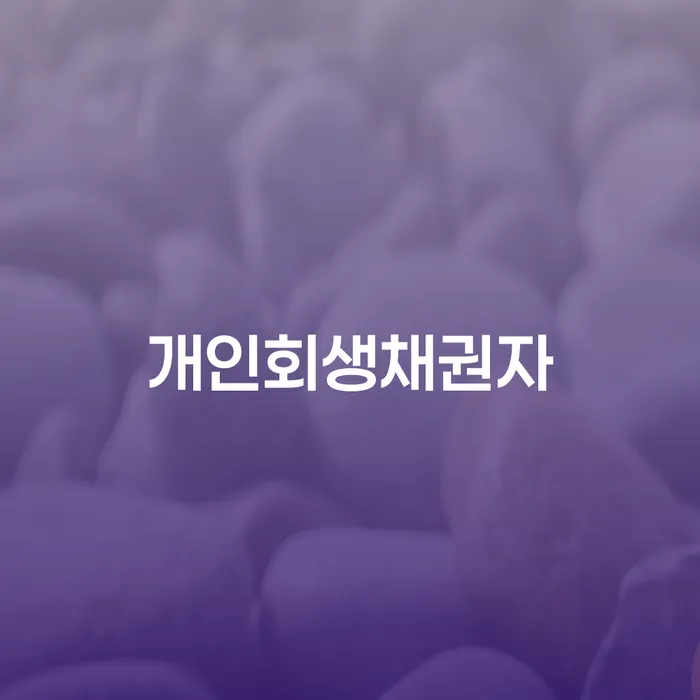 개인회생 개인파산 확인해요