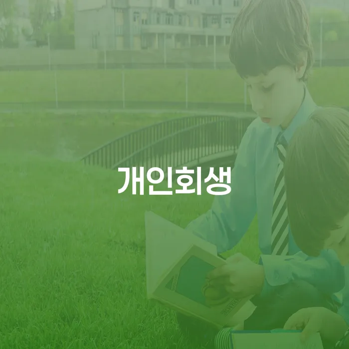 채무자대리인제도 개인회생 처리방법 있는지확인