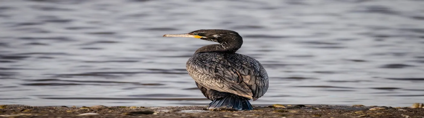 법무법인 서앤율