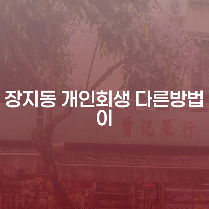 장지동 개인회생 다른방법이