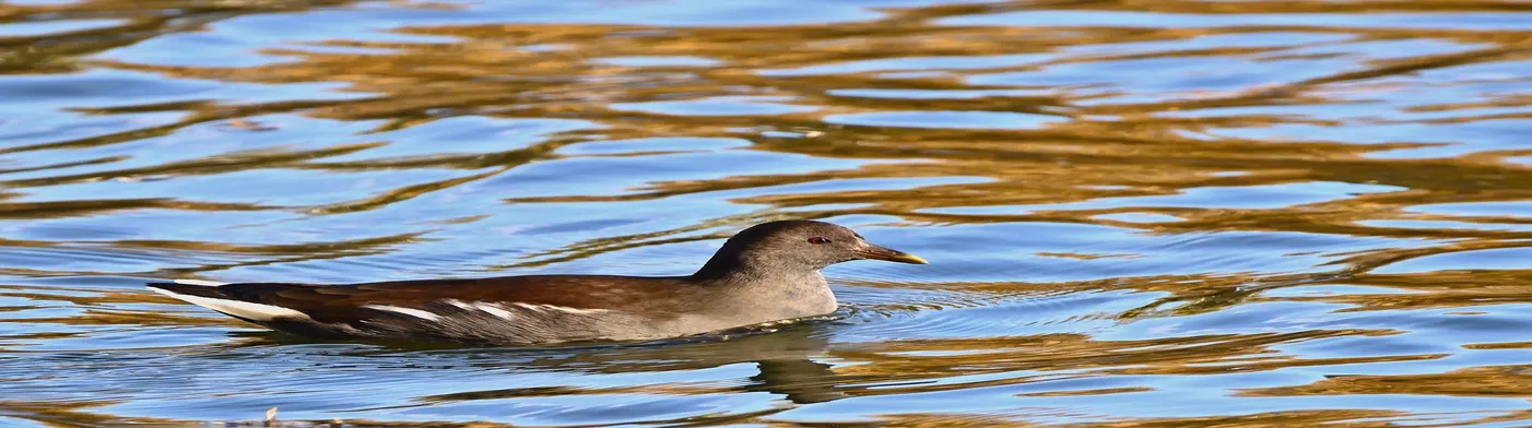 법무법인 서앤율