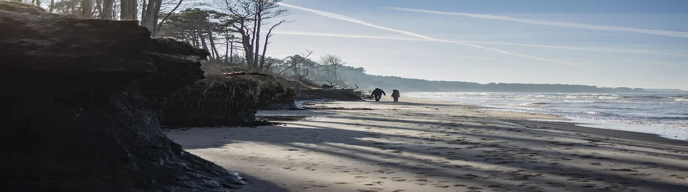법무법인 서앤율