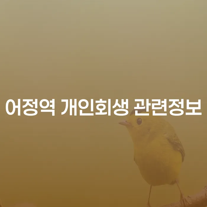 어정역 개인회생 관련정보