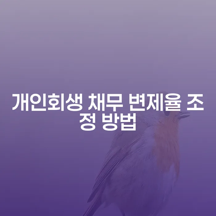 개인회생 채무 변제율 조정 방법은 어떻게 할까요?