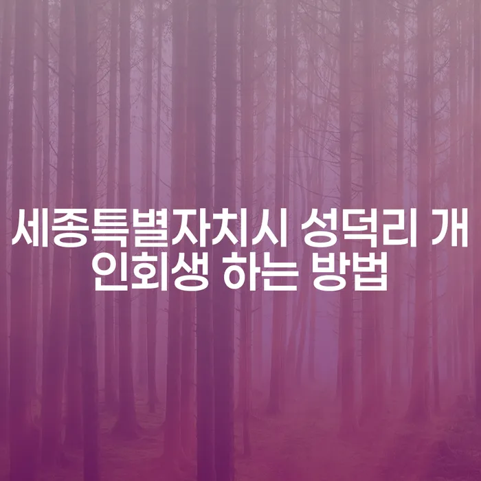 세종특별자치시 성덕리에서 개인회생을 신청하는 방법을 알고 계신가요?
